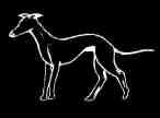 Hound based on Rossie Priory stone copyright © 2002 Aaron Miller for Cruithne Designs
